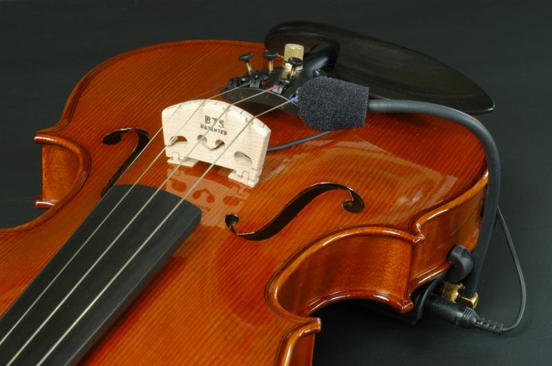 25076円 【セール】 ヴァイオリン 手作りのアコースティックバイオリン4 4カエルの木材で作られた電気バイオリンバイオリン アコースティックバイオリン Annacboy