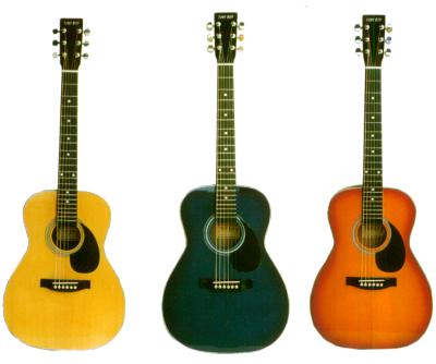 Acoustic Instrument Guitar